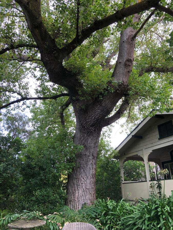 Lorelei Bed & Breakfast Portland Bagian luar foto