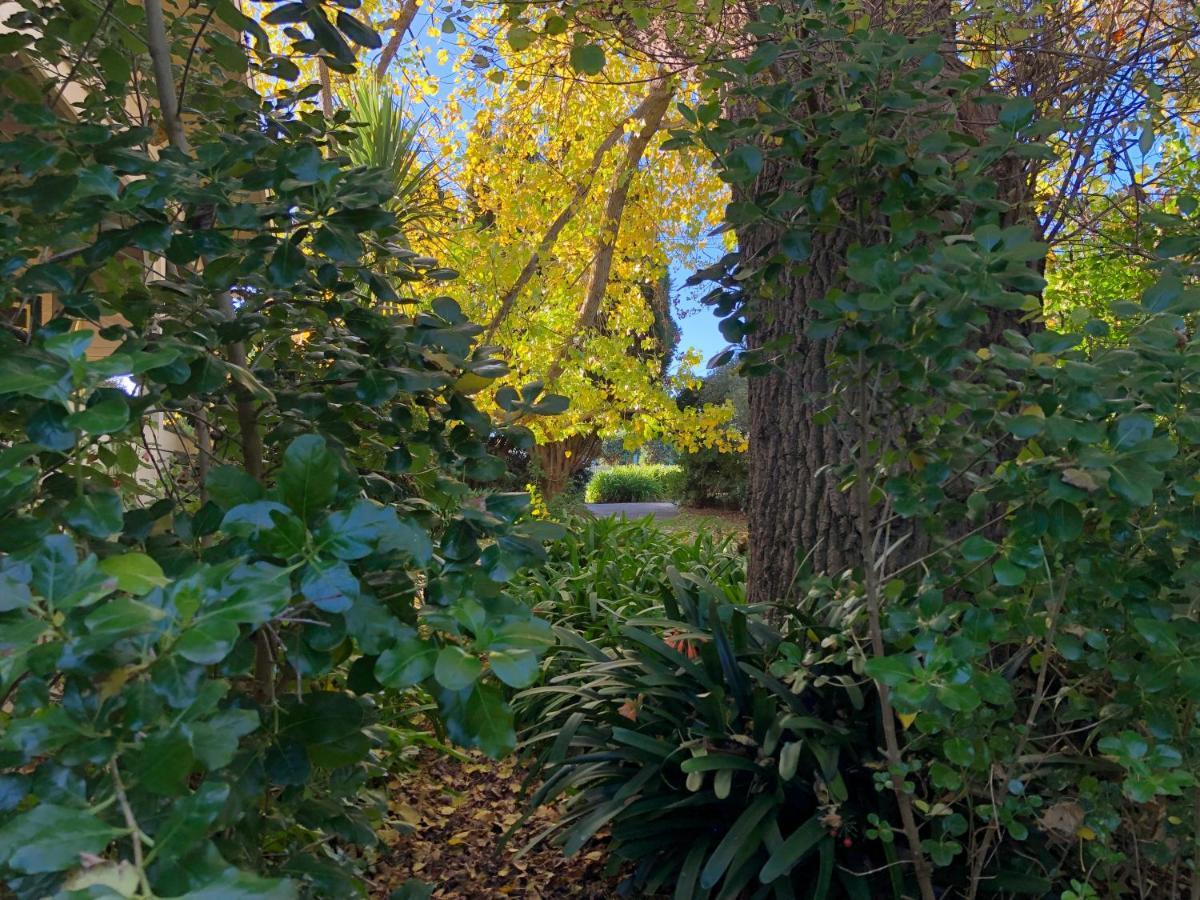 Lorelei Bed & Breakfast Portland Bagian luar foto